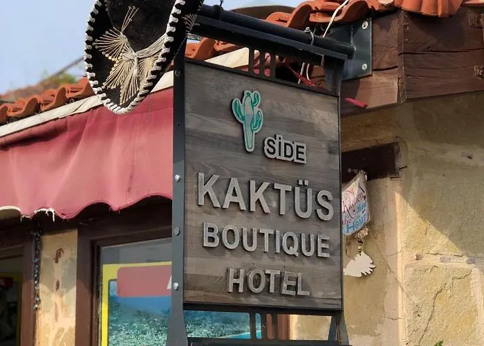 Kaktus Boutique