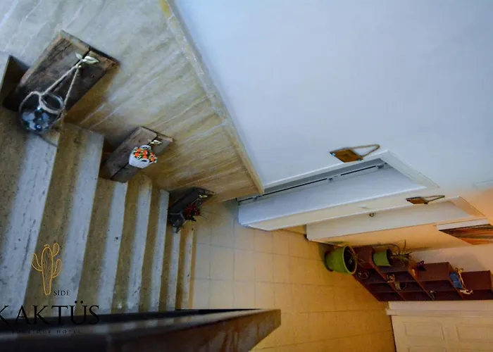 Kaktus Boutique * Σιντέ