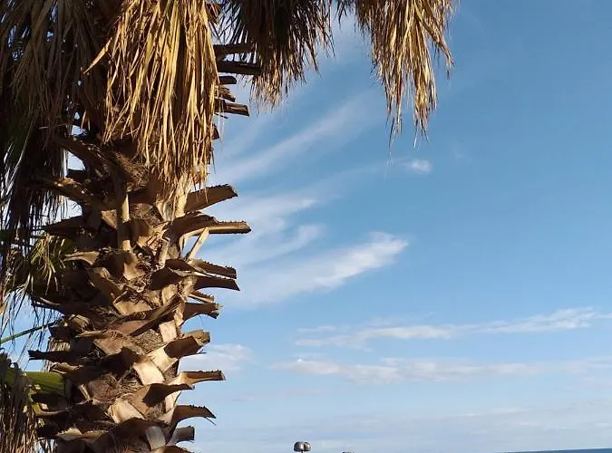 Kaktus Boutique Σιντέ