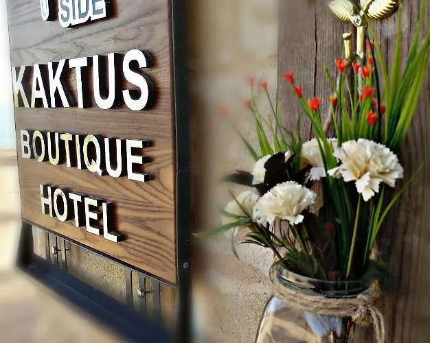 Kaktus Boutique * Σιντέ