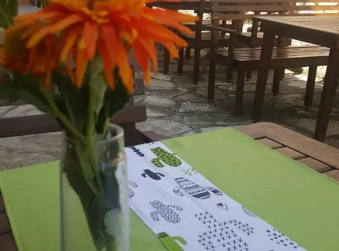 Otel Kaktus Boutique