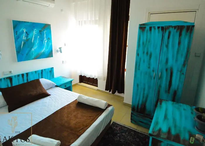 Kaktus Boutique Σιντέ