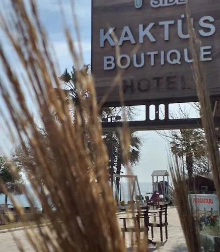 Kaktus Boutique *