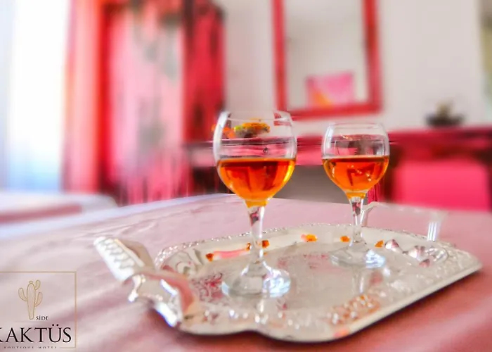 Ξενοδοχείο Kaktus Boutique