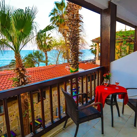 Kaktus Boutique * Side