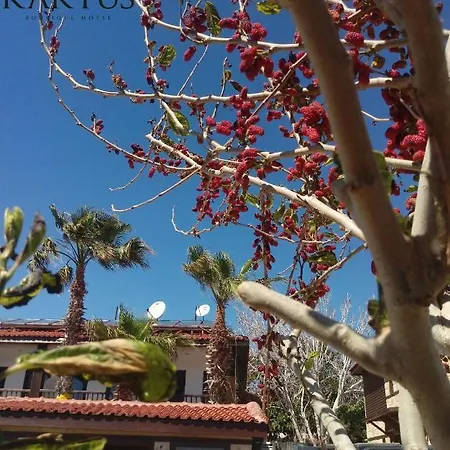 Ξενοδοχείο Kaktus Boutique *