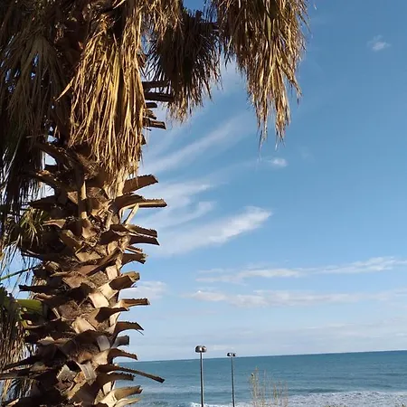 Kaktus Boutique Σιντέ