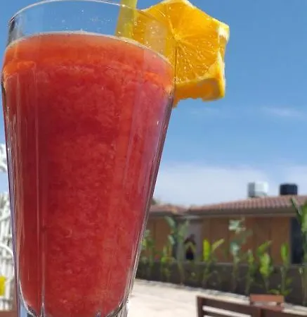 Kaktus Boutique Ξενοδοχείο *