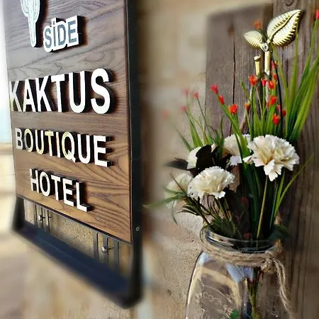 Kaktus Boutique * Σιντέ