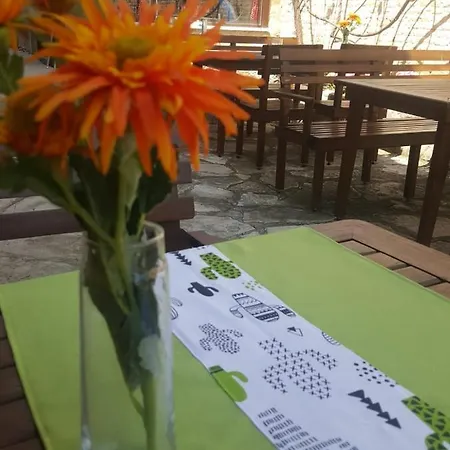 Ξενοδοχείο Kaktus Boutique