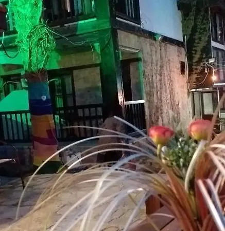 Kaktus Boutique *